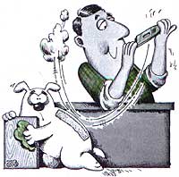 cartoon 3