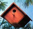 Wren Bird House